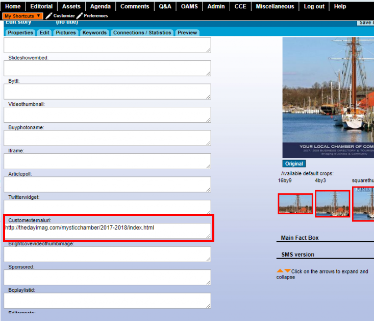 FIG. 5 -- The 'Edit' tab of the story edit/creation interface, showing the 'Customexternalurl' field, used to store the click-thru link for the iMag.